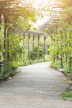 Güzel doğa Günbatımı ile geçit ile kamu parkıdır.