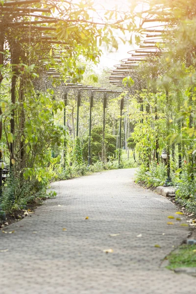 Güzel doğa Günbatımı ile geçit ile kamu parkıdır.