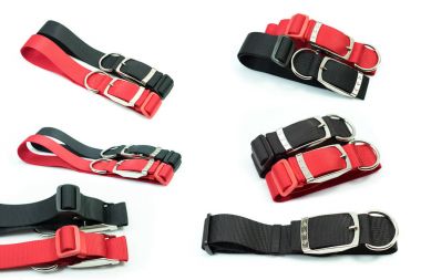 Beyaz arka plan üzerinde köpek yaka hakkında evde beslenen hayvan temini.  