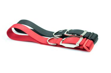 Beyaz arka plan üzerinde köpek yaka hakkında evde beslenen hayvan temini.  