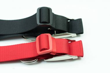 Beyaz arka plan üzerinde köpek yaka hakkında evde beslenen hayvan temini.  
