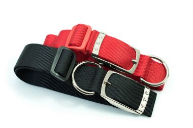 Beyaz arka plan üzerinde köpek yaka hakkında evde beslenen hayvan temini.  