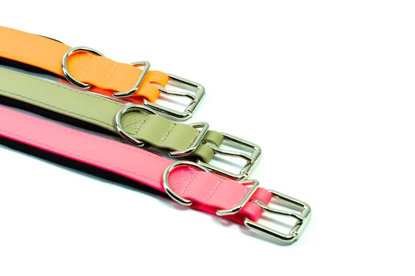 Pet supplies about rubber collars for pet on white background.