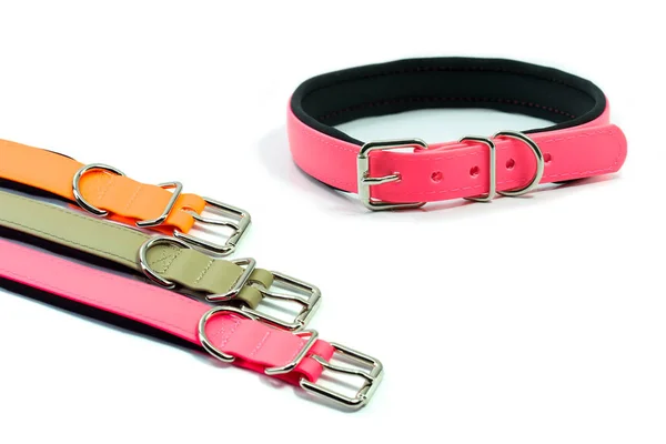 Pet supplies about rubber collars for pet on white background. — Stock Photo, Image