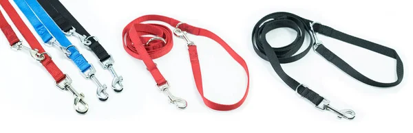 Pet supplies set about leash for pets isolated on white backgrou