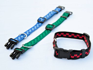 Yaka beyaz arkasında izole kedi ya da köpek için hakkında evde beslenen hayvan temini