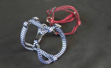 Koşum için yalın ve kara üzerinde kontrol belgili tanımlık kira kontratı getirmek için pets