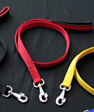 Köpek ve Siyah Gümüş kanca için tasma hakkında evde beslenen hayvan temini 