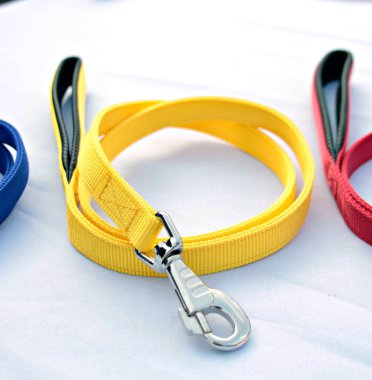 Köpek ya da kedi izole beyaz için tasma hakkında evde beslenen hayvan levazım