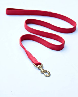 Köpek ya da kedi izole beyaz için tasma hakkında evde beslenen hayvan levazım