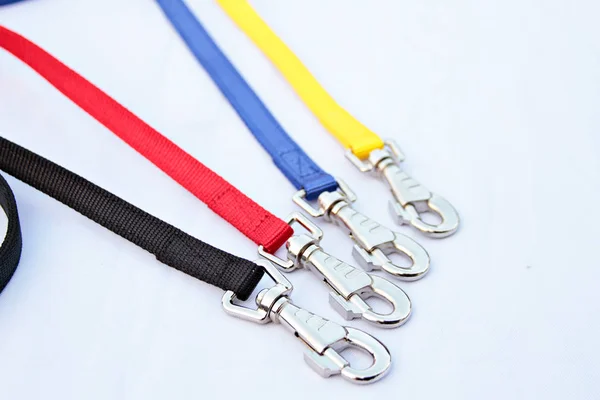 Pet supplies about leash for dog or cat on isolated white