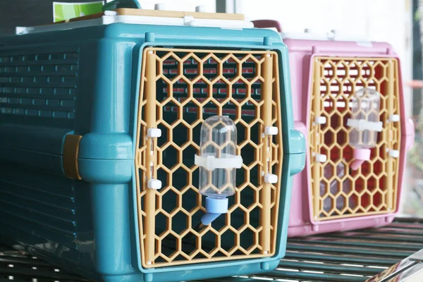 Pet carriers in pet shop for sale or transportation