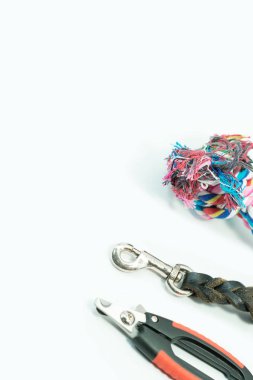 Tırnak makası, deri ve halat izole evcil hayvanlar için kira kontratı 