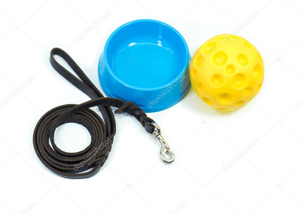 Pet bowl, rubber toys and leash of black leather isolated 