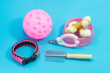 Yaka, tarak, tırnak makası hakkında evde beslenen hayvan levazım. Kase