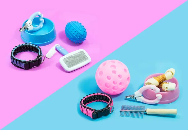 Pet supplies on pink and blue background. Concept business product at Pet shop.