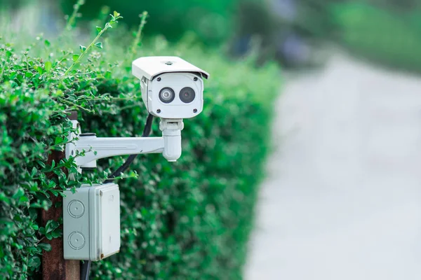 Araba park Bahçe, CCTV güvenlik kamera.