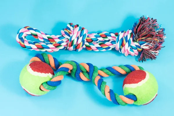 蓝色背景下的狗的绳子和球 体育为宠物概念 — 图库照片
