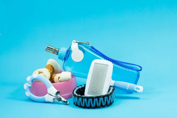 Brush comb, bowl with snacks, collars, nail scissors and water — Stock Photo, Image