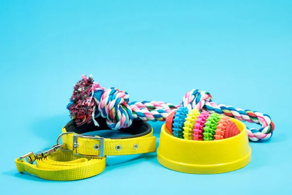 Bowl, collar with toy rope and bite rope for blue background. Pr — Stock Photo, Image