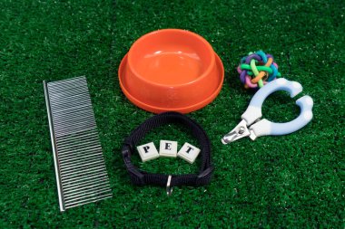 Çim zemin üzerine evde beslenen hayvan Aksesuar kavramı. kase, oyuncaklar, tarak, 