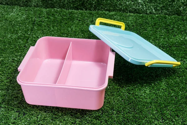 Picnic plastic box for food on green grass.
