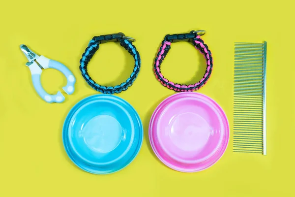 Pet accessories concept:  bowl, collars, comb and nail scissors — Stock Photo, Image