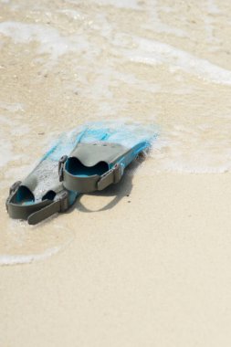 Mavi yüzgeçleri deniz plaj şnorkel için.