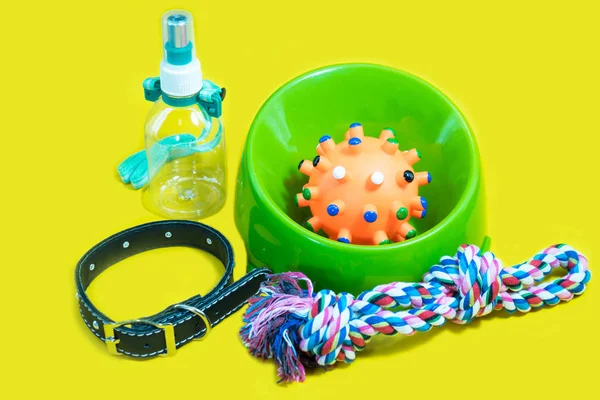 Animais de estimação fornece conceito. Pet bowl e brinquedos de borracha, coleiras, garrafa — Fotografia de Stock