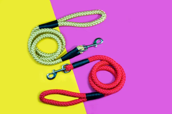 Dog leash on pink and yellow background.  Pet accessories — Stock Photo, Image