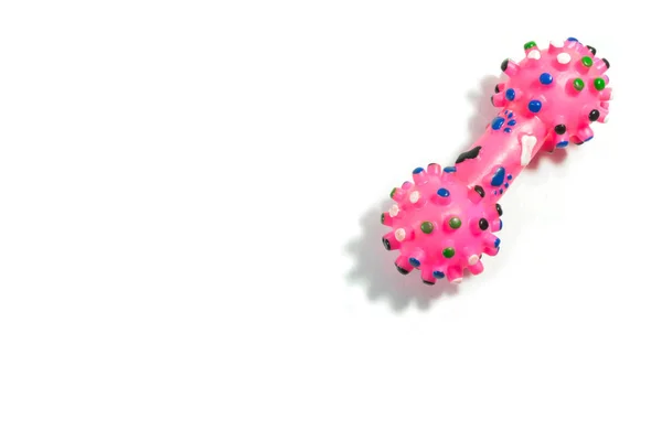 Pink rubber toys for dog on isolated white background. — Stock Photo, Image