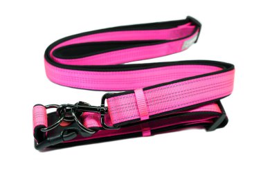 Evde beslenen hayvan Aksesuar kavramı. İzole beyaz üzerine pembe evde beslenen hayvan kira kontratı 