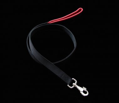 Siyah evde beslenen hayvan kira kontratı izole siyah arka plan üzerine gümüş kanca ile.  