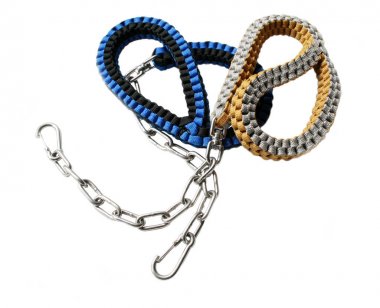 İzole beyaz arka plan üstünde evde beslenen hayvan kira kontratı. Evde beslenen hayvan Aksesuar kavramı