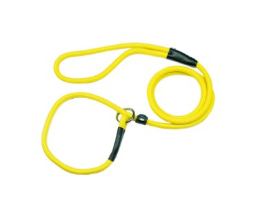 İzole beyaz zemin üzerine sarı evde beslenen hayvan kira kontratı. Evde beslenen hayvan aksesuarları 