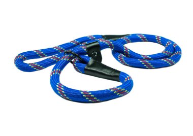 Eğitim izole beyaz zemin üzerine Köpek kira kontratı.