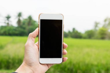 Akıllı telefon bulanık pirinç tarlaları üzerinde tutan el. Teknoloji 