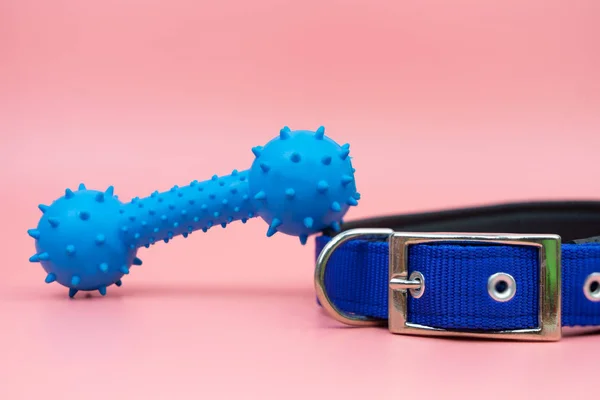Pet collar and rubber toy on pink background — Stock Photo, Image