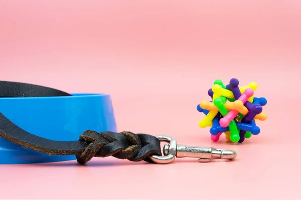 Correa de cuero para mascotas con juguete de goma sobre fondo de color — Foto de Stock