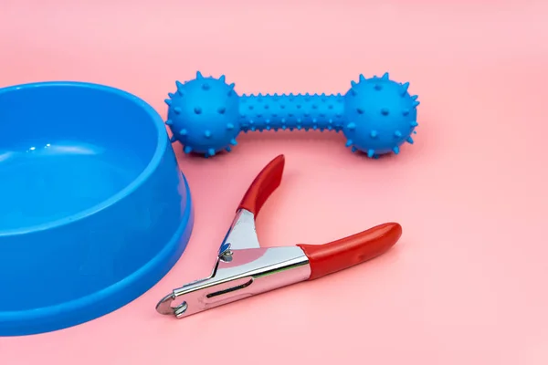 Концепция зоомагазина. Ножницы для ногтей, миски и игрушки — стоковое фото