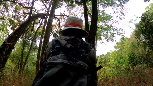 スローモーションのコンセプト 森の中でハイキング用コンパスを探している女性 — ストック動画