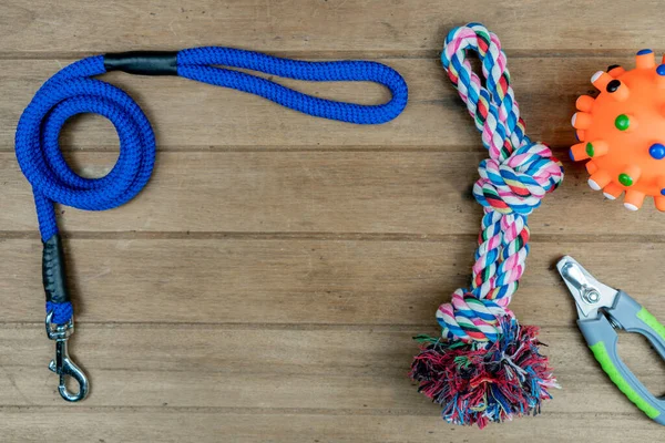 Pet leashes on wooden background.  Pet accessories concept