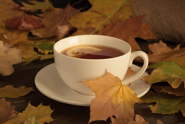 Podzimní horký čaj — Stock fotografie