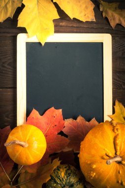 Festival sonbahar arka plan.