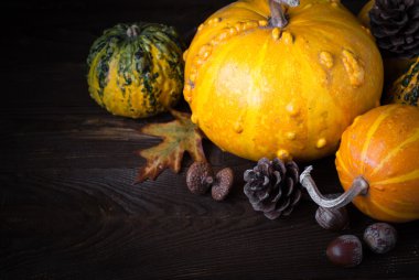 Festival sonbahar arka plan. 