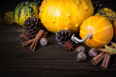 Festival sonbahar arka plan. 