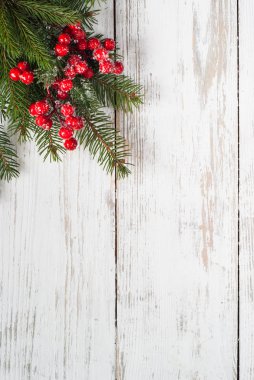 Noel köknar ağacı dalı