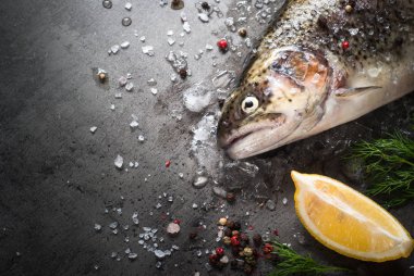 Buz üzerinde ham alabalığı