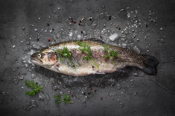 Raw brown trout on ice — Stock Photo, Image