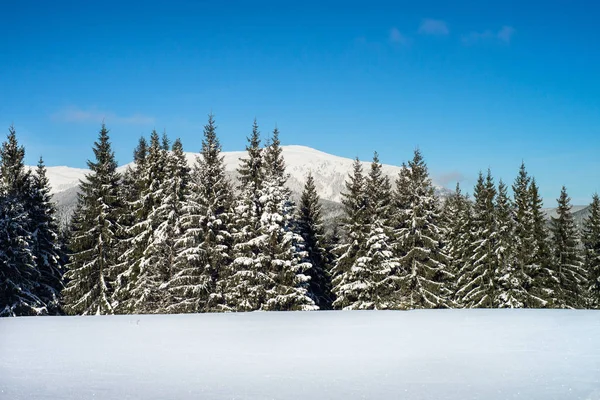 Inverno Natura paesaggio innevato sfondo esterno . — Foto Stock